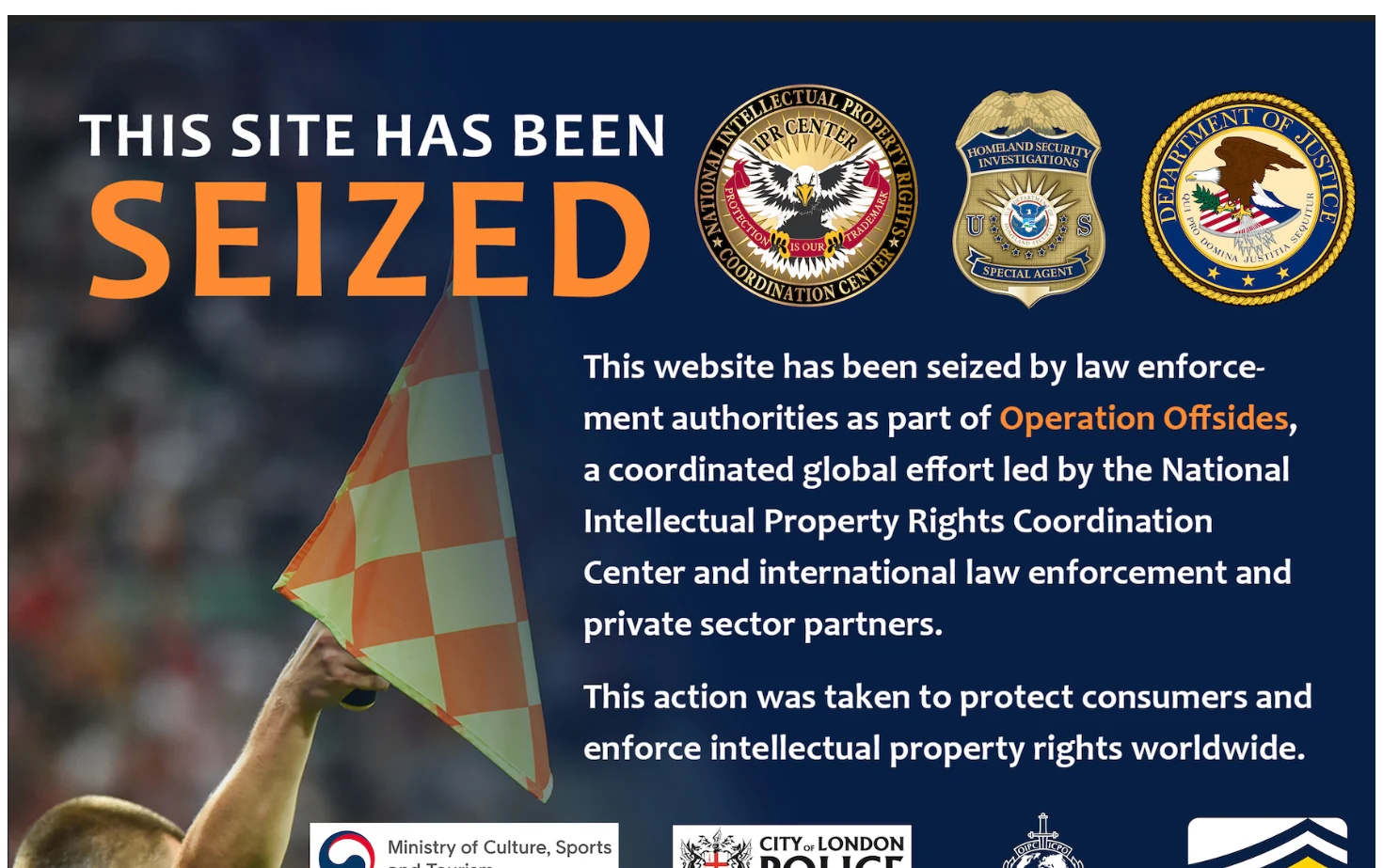THIS DOMAIN HAS BEEN SEIZED 页面快照